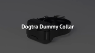 dogtra dummy collar
