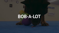 Leerburg  Bob-a-Lot