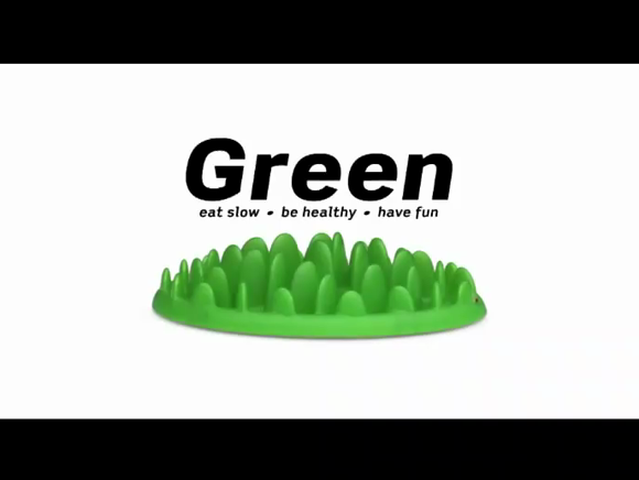 green slow feeder